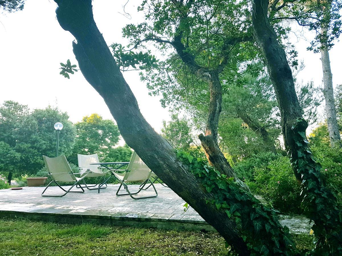 Villa Cenzina Selva Di Fasano Eksteriør billede