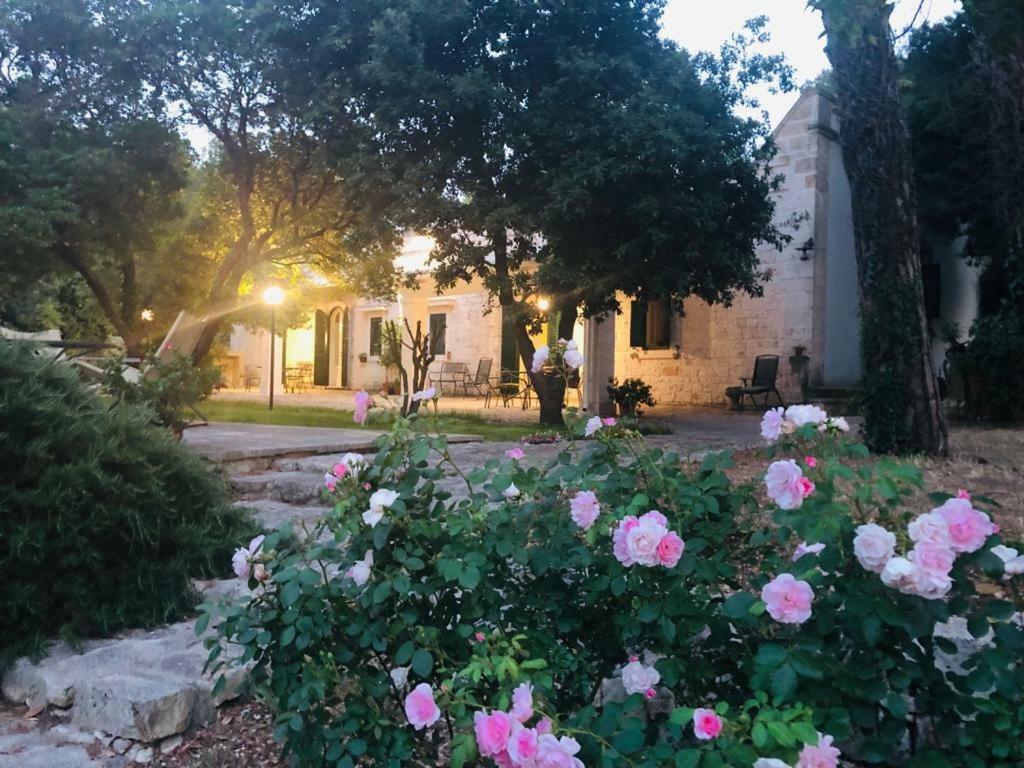 Villa Cenzina Selva Di Fasano Eksteriør billede